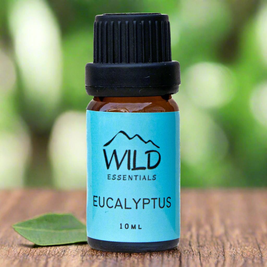 Photo of a 10ml bottle of Eucalyptus Essential Oil from Wild Essentials