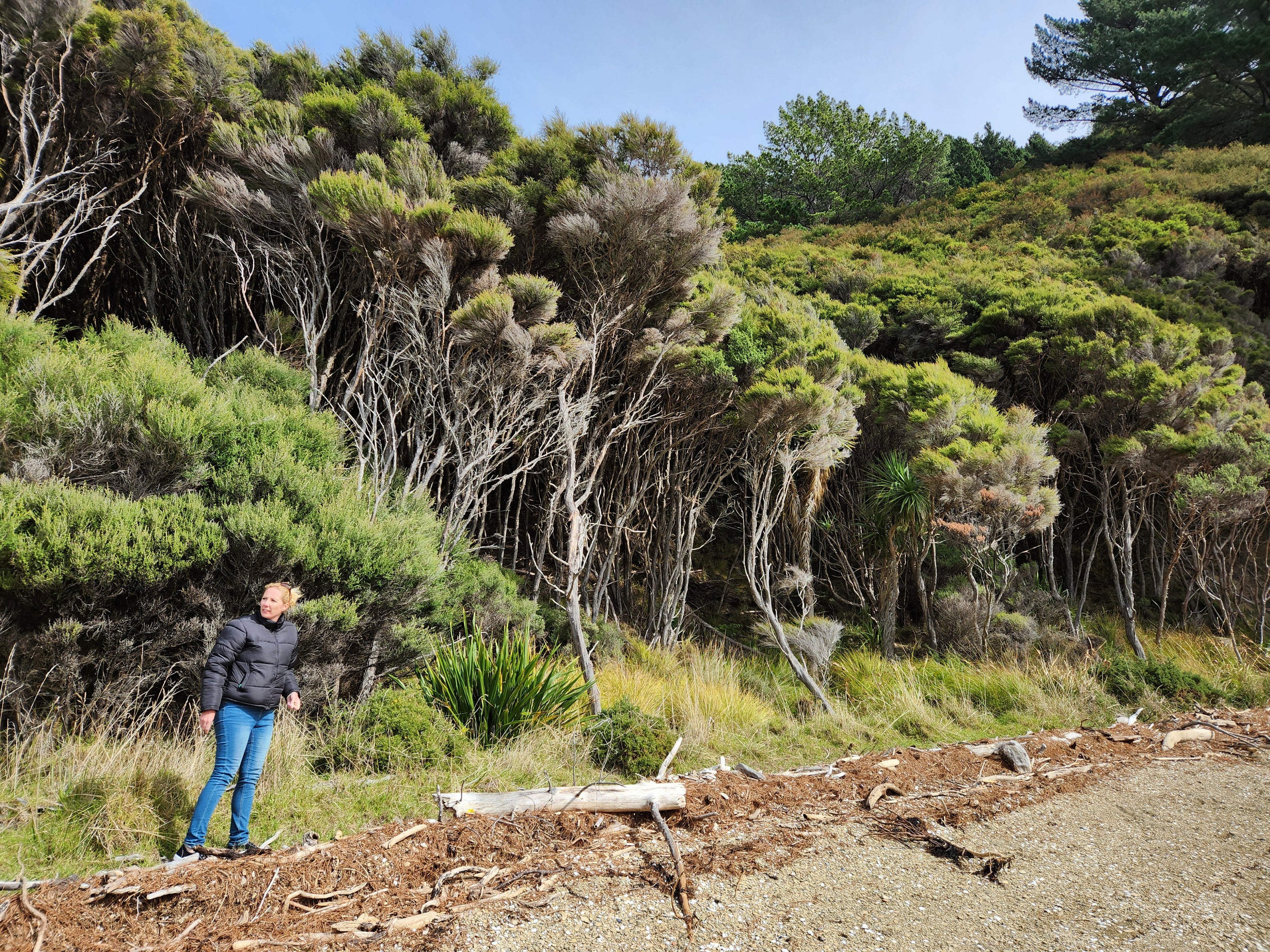 Jamie from Wild Essentials walking in the Sounds during a well earned holiday.