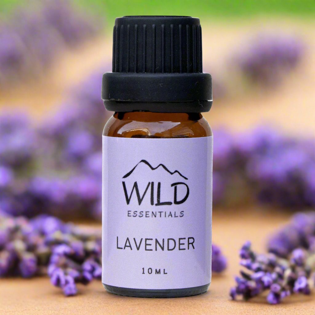Photo of a 10ml bottle of Lavender Essential Oil from Wild Essentials