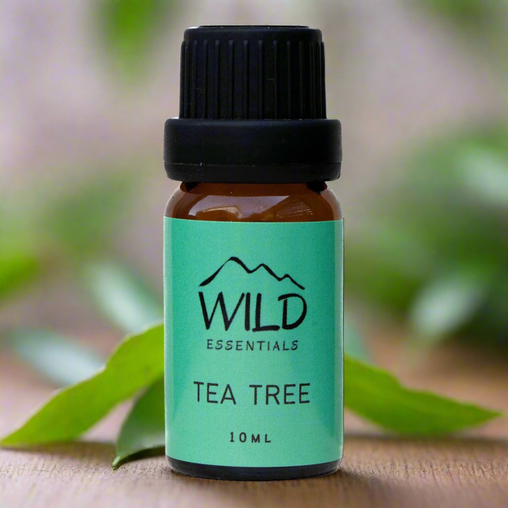 Photo of a 10ml bottle of Tea Tree Essential Oil from Wild Essentials