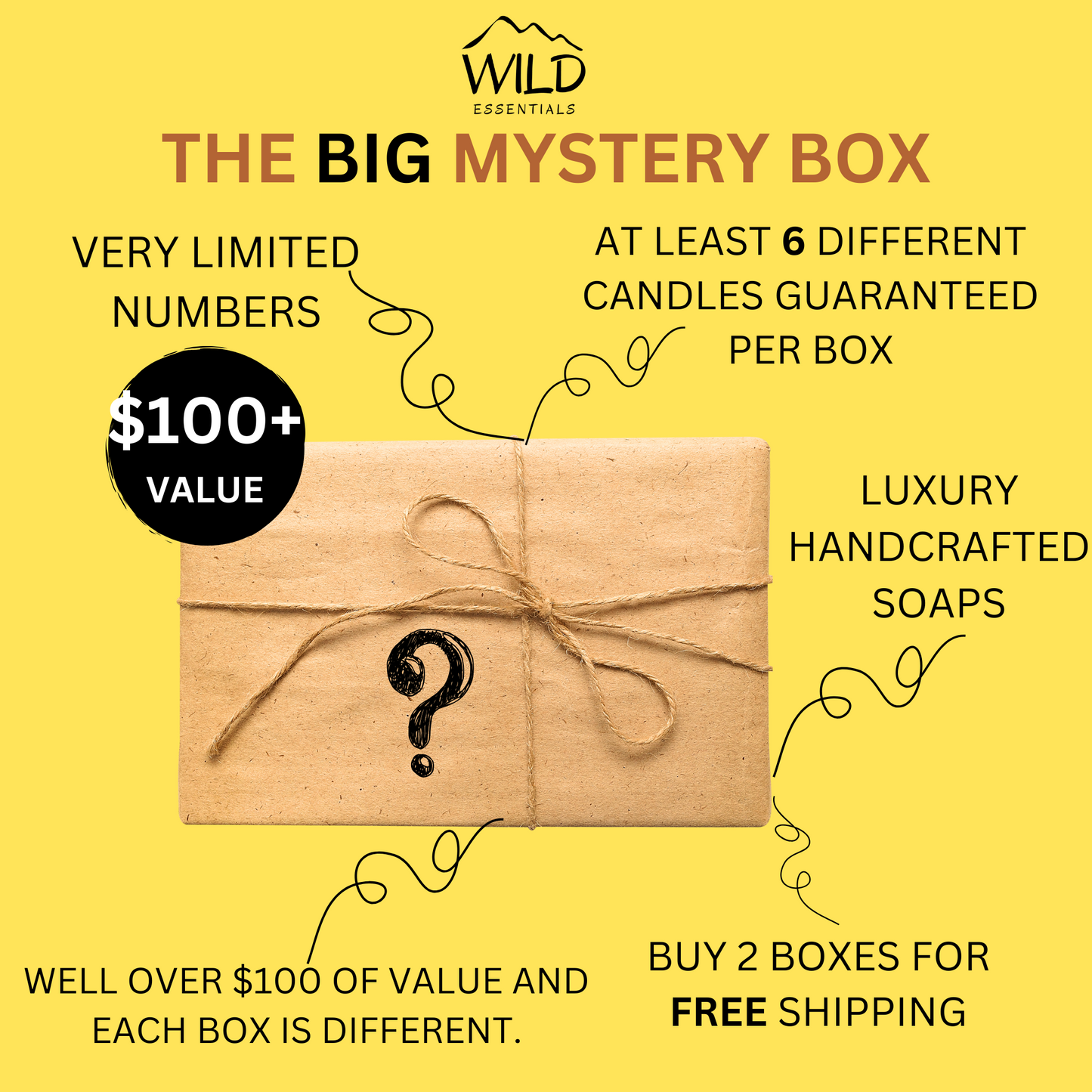 Banner type image showcasing "The BIG Mystery Box" from Wild Essentials.